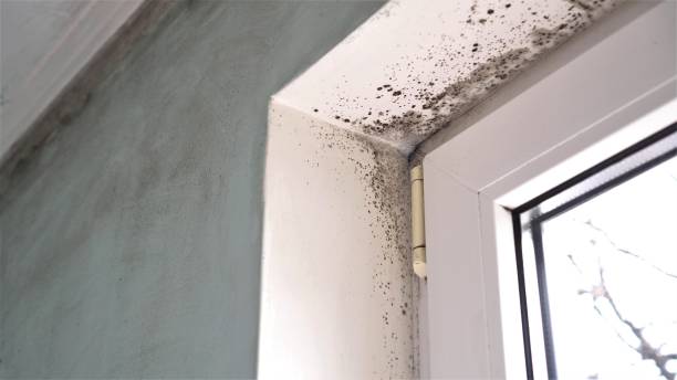 Water Damage Restoration in Burlington, OH