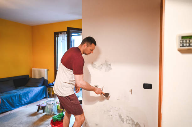 Best Crawl Space Mold Removal  in Burlington, OH
